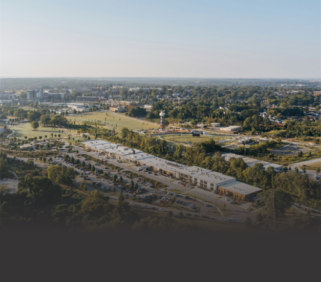 CONSULTANCY MANAGEMENT